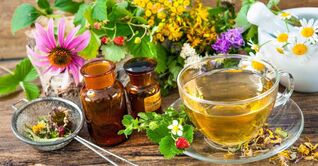 Belar infusioak zerbikal osteokondrosia tratatzeko